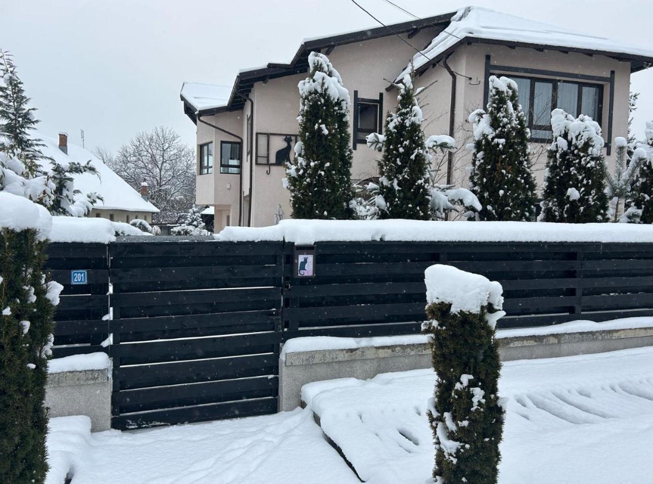 Casa Pisica Noastra Hotell Breaza  Exteriör bild