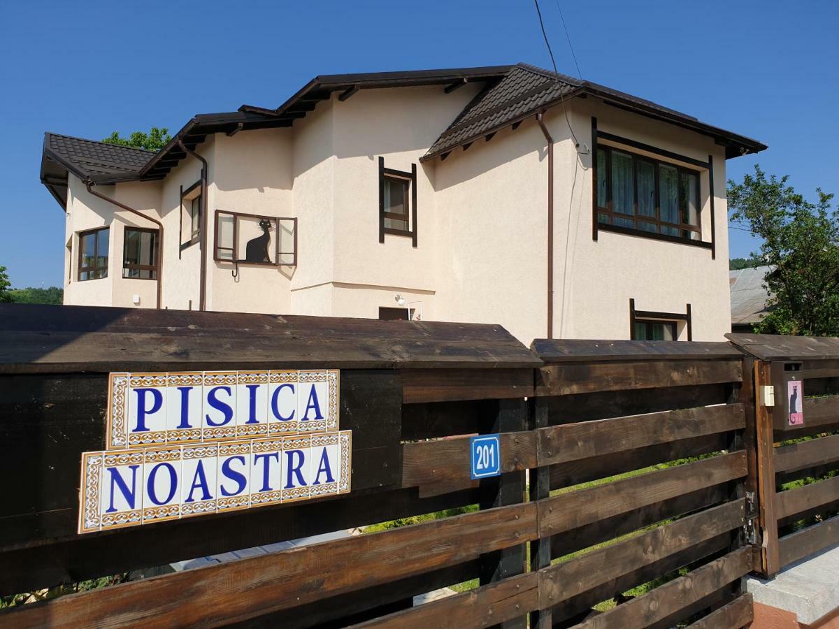 Casa Pisica Noastra Hotell Breaza  Exteriör bild